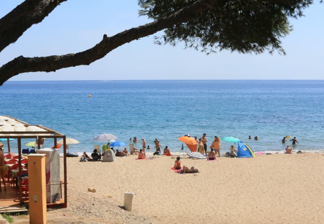 Maison à Miami Playa - CASAS BLANCAS 57 Maison à Miami Playa - CASAS BLANCAS 57