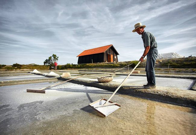 Maison à Bretignolles-sur-Mer - hoomy10036 Maison à Bretignolles-sur-Mer - hoomy10036
