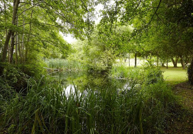 Maison à Saint-Maixent-sur-Vie - hoomy10176 Maison à Saint-Maixent-sur-Vie - hoomy10176