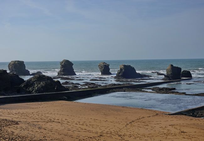 Appartement à Saint-Hilaire-de-Riez - hoomy10406 Appartement à Saint-Hilaire-de-Riez - hoomy10406