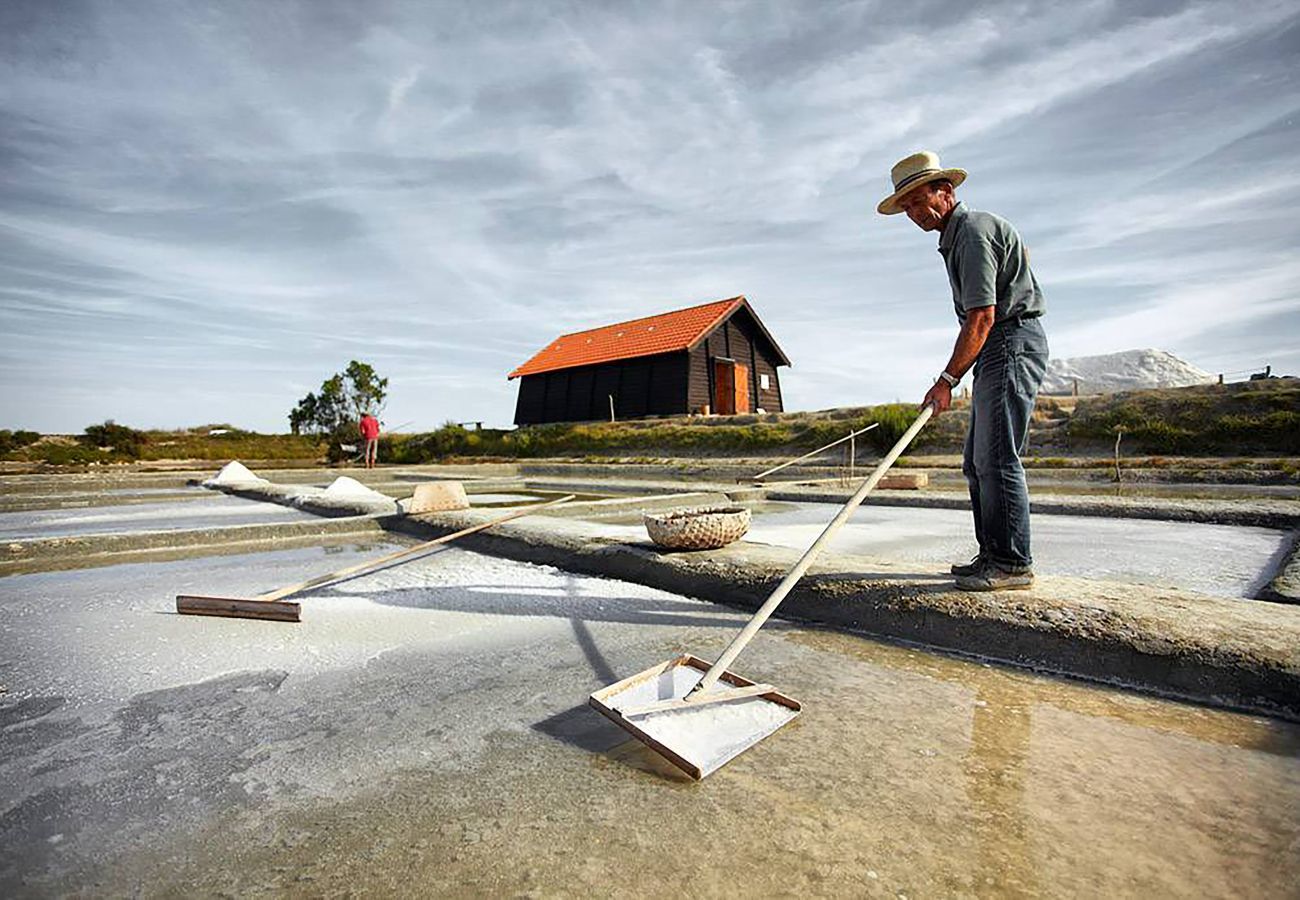 Maison à Bretignolles-sur-Mer - hoomy10036 Maison à Bretignolles-sur-Mer - hoomy10036