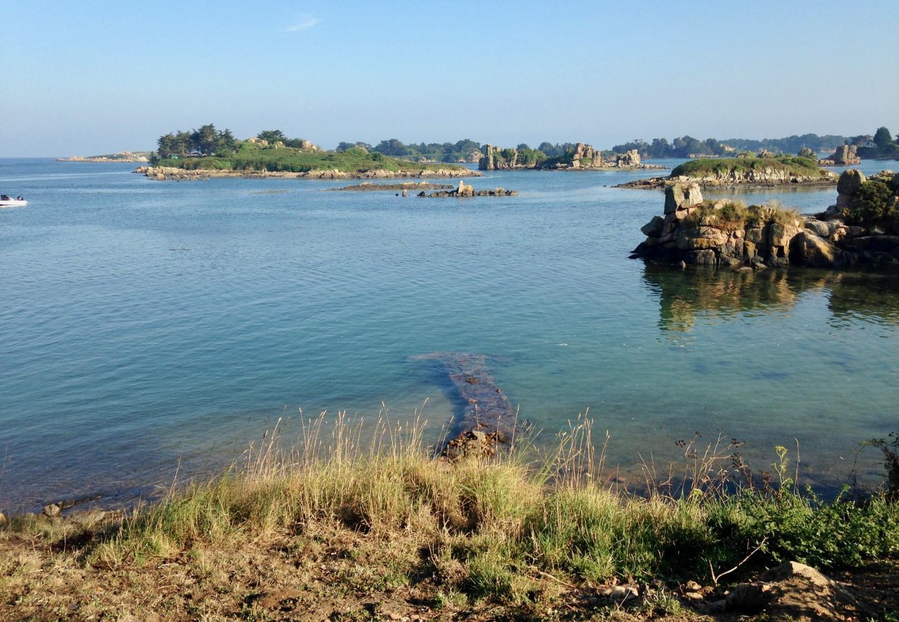 Maison à Ile de Bréhat - hoomy10147